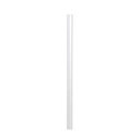 Spine Fixing Bars 6mm NO.2901 DURABLE CLEAR