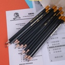 Deli - Graphite Pencil 2B W/Eraser 12Pc Dark Blue 