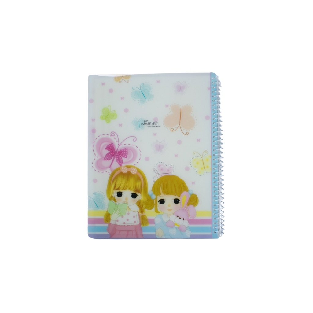 File SYF A4 40 Pocket