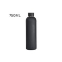 Stainless Steel Water Bottle DW 750ML Matte Finish -  Black 