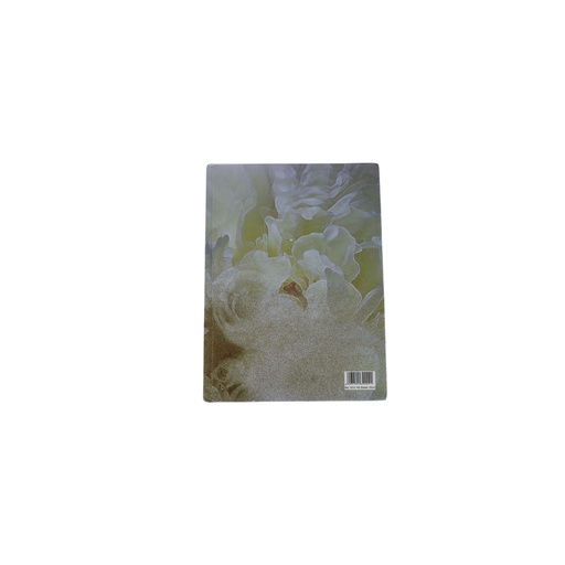 NOTEBOOK PLAIN PAGES 150 sheet 21 x 15.5 cm